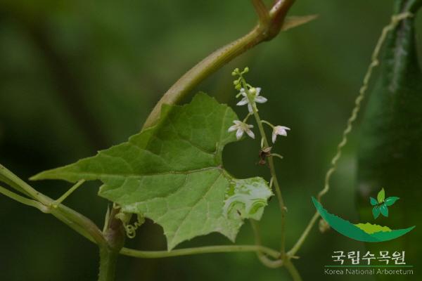산외 이미지
