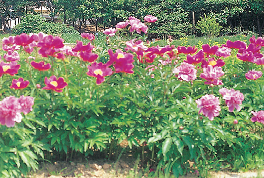 곤충이미지