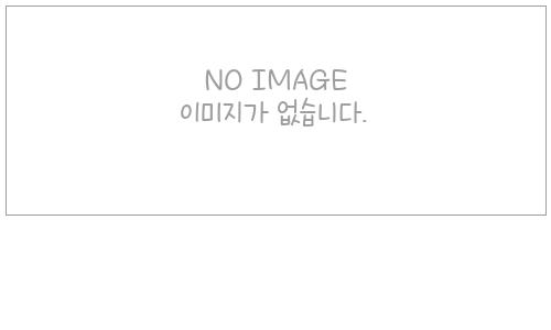 곤충이미지