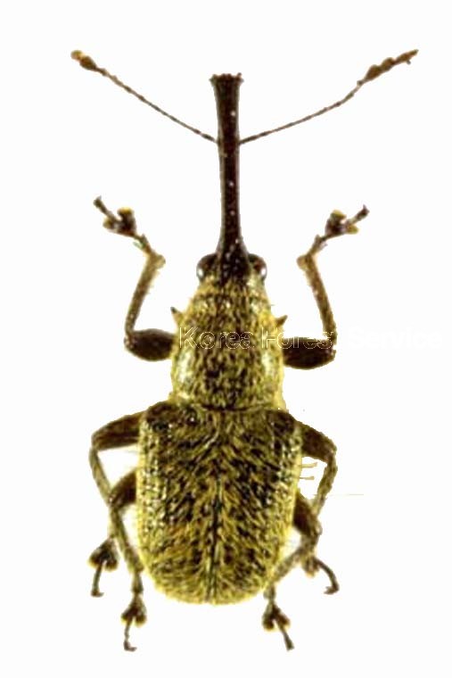 곤충이미지