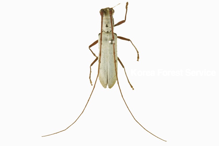 곤충이미지